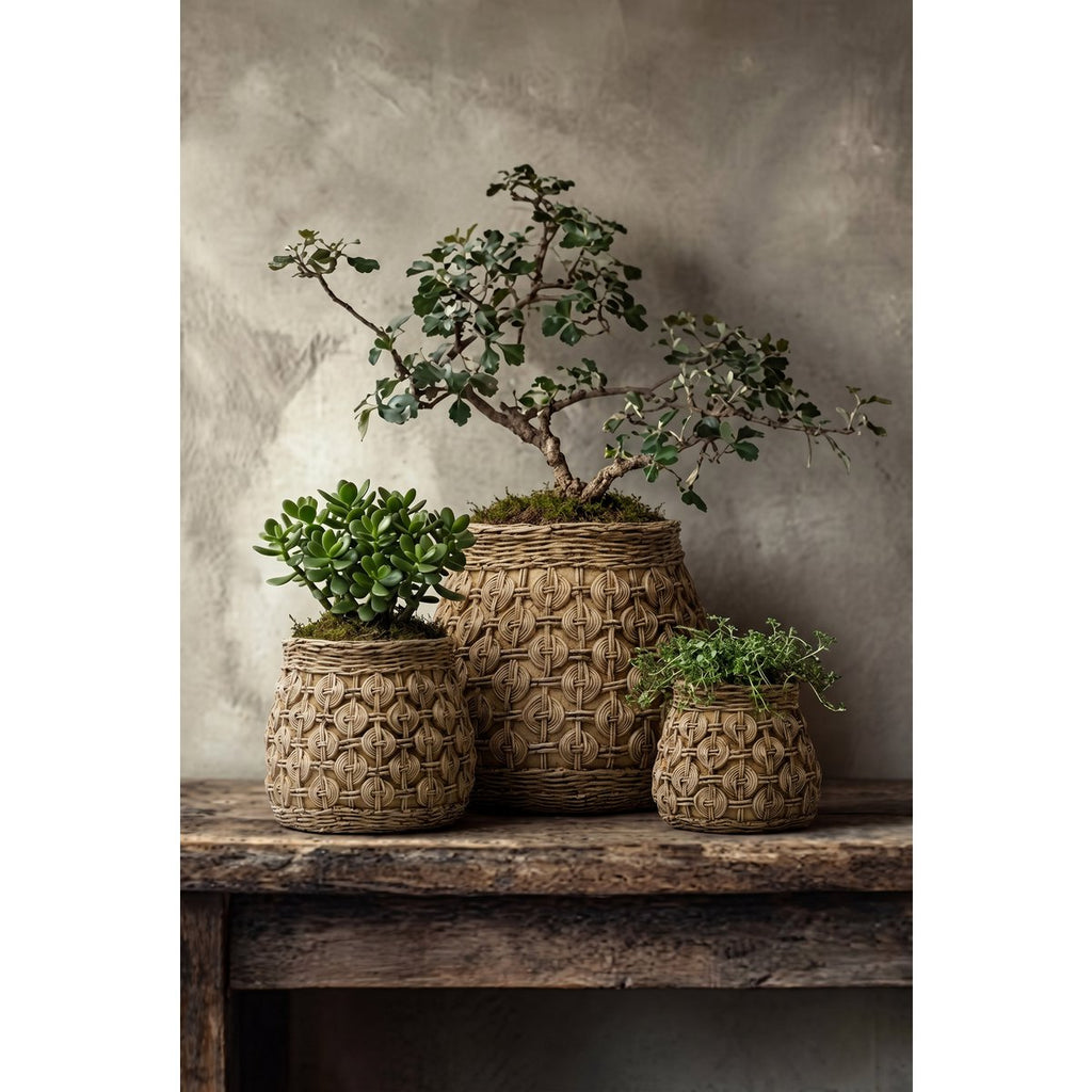 Jardinière en béton The Knot 23 cm