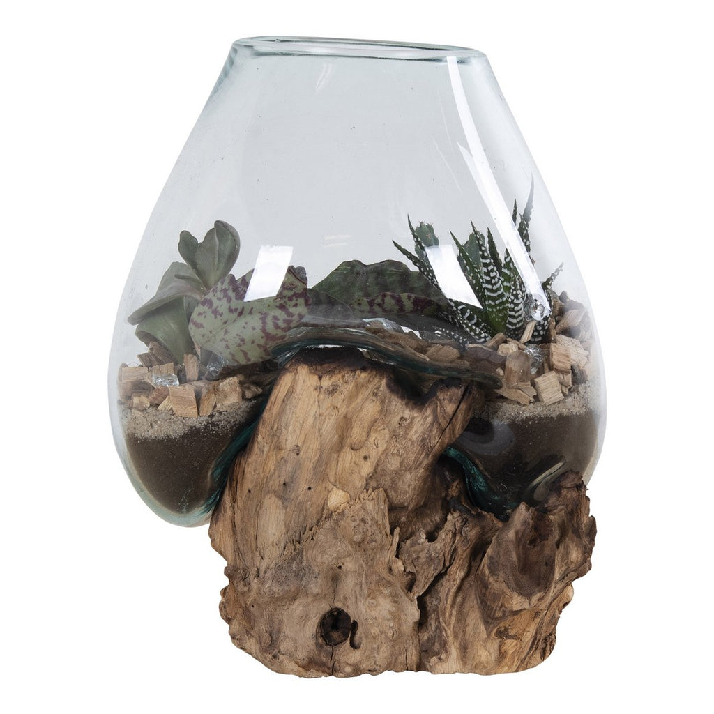 Terrarium goutte San Marino – Teck & verre naturel