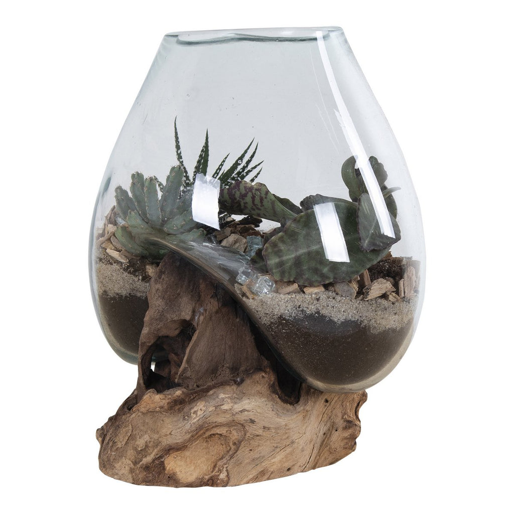 Terrarium goutte San Marino – Teck & verre naturel