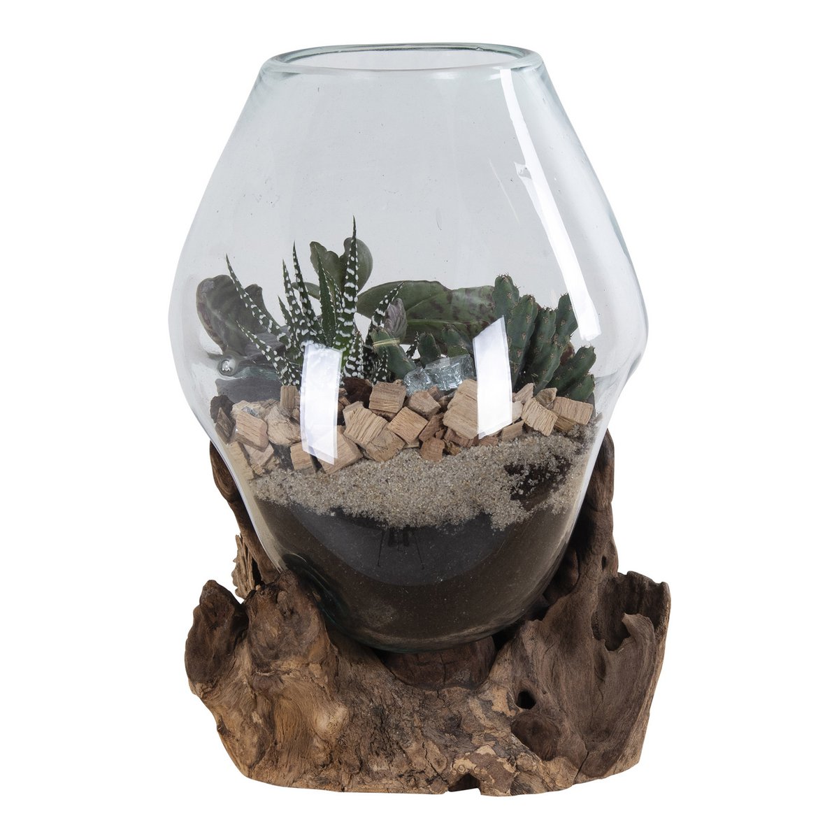 Terrarium goutte San Marino – Teck & verre naturel