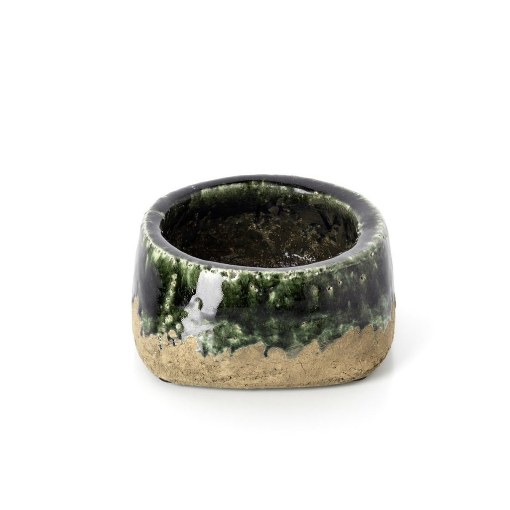 Jardinière bol en grès Moss Bowl – Vert Béton – Profil Bas | Bazar Bizar
