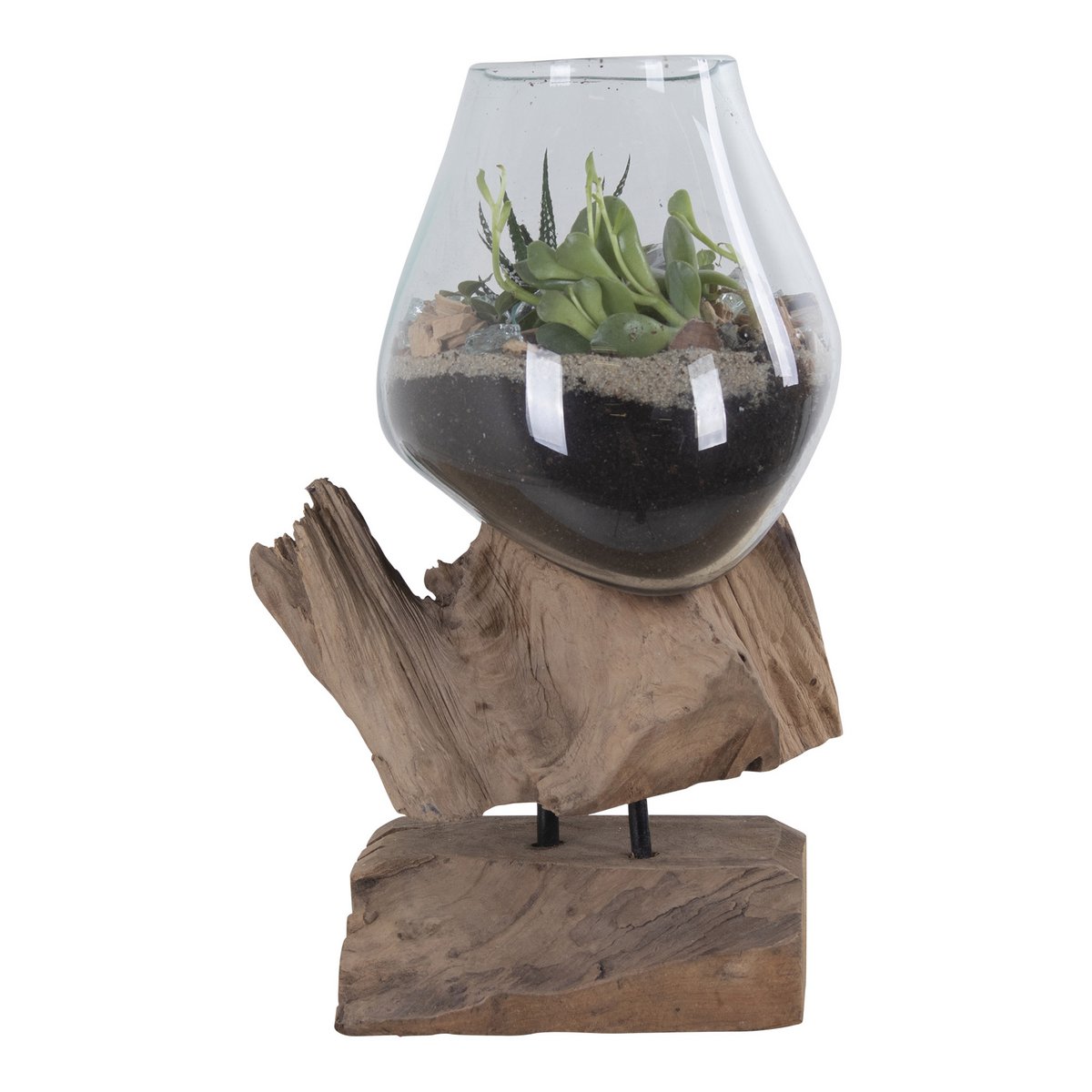 Terrarium goutte San Marino – Teck & verre naturel H25 cm