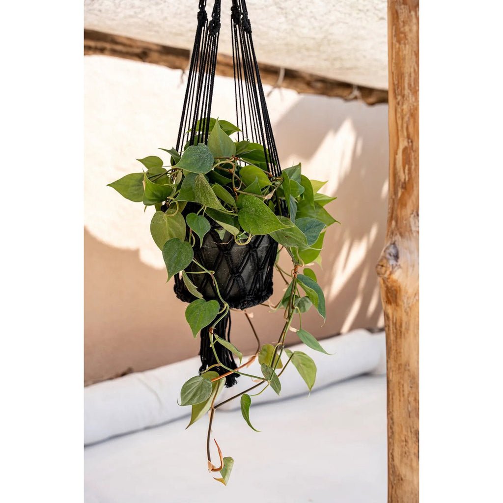 Support pour plantes en macramé coton – Noir – L | Bazar Bizar