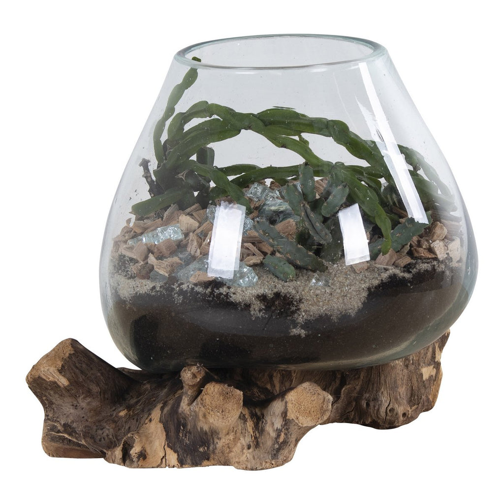 Terrarium goutte San Marino – Teck & verre naturel