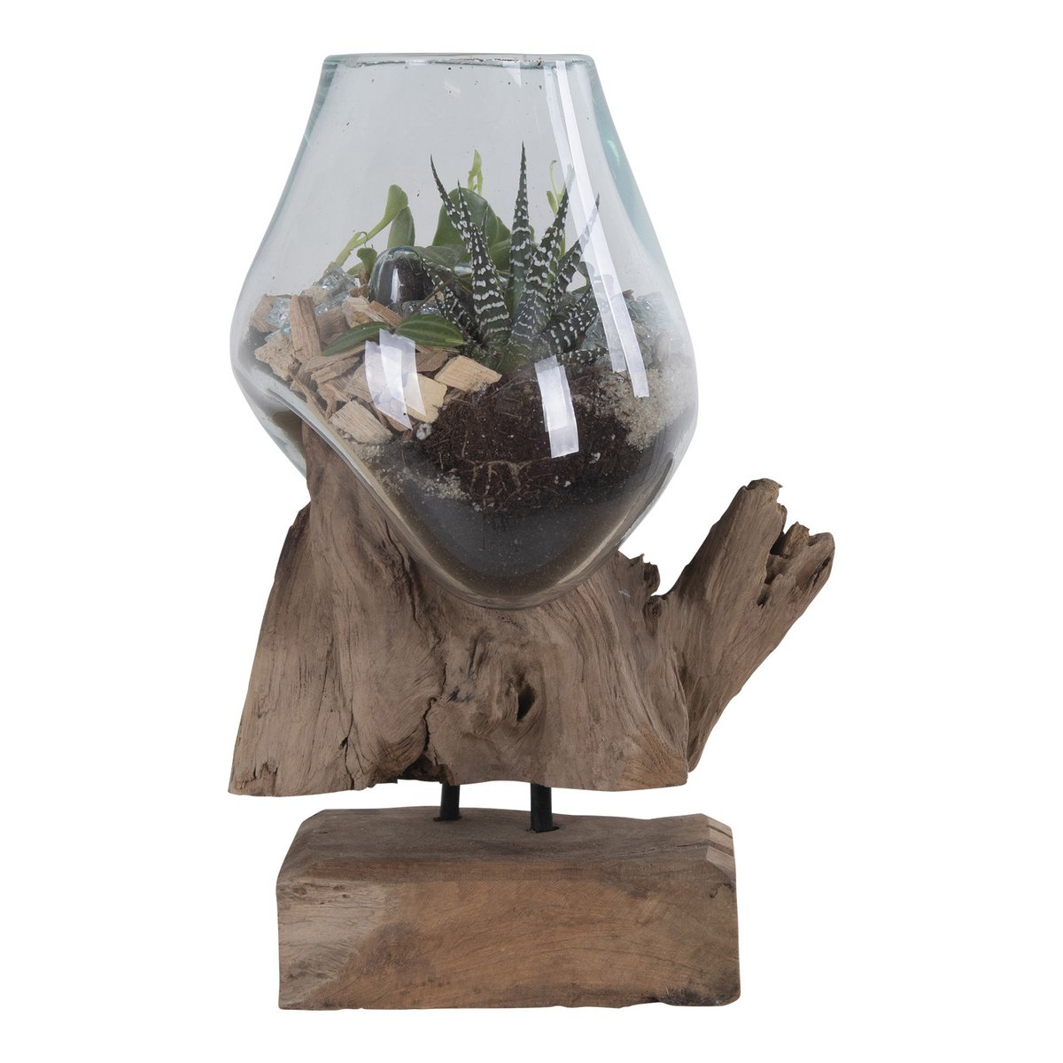 Terrarium goutte San Marino – Teck & verre naturel H25 cm