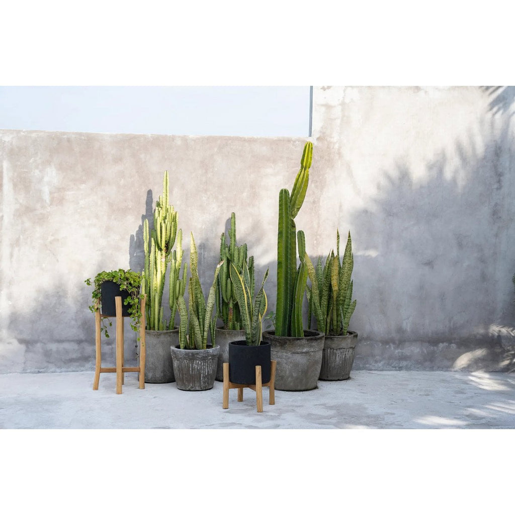 Le Charcoal Low - Noir Naturel - S