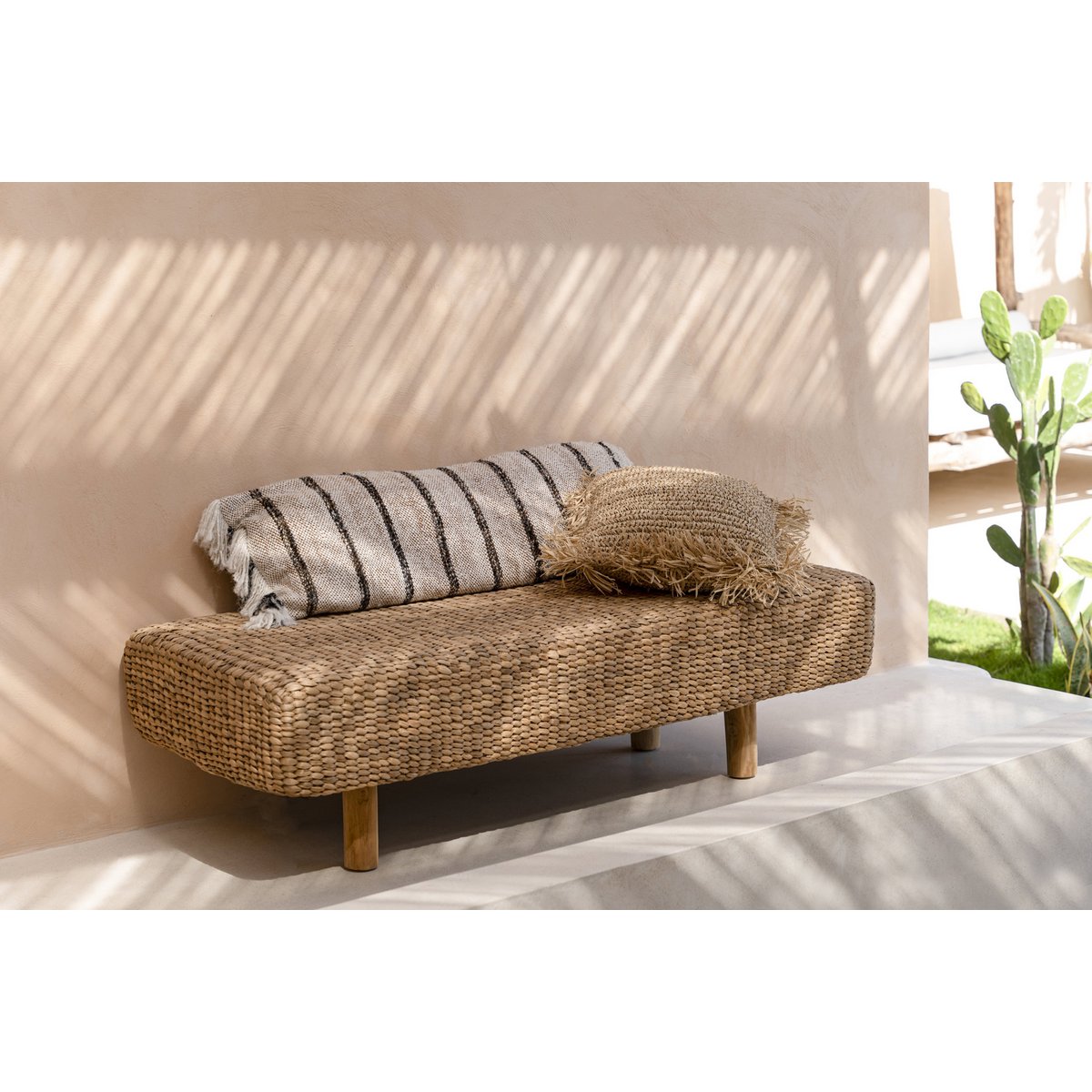 Le banc en jacinthe d'eau