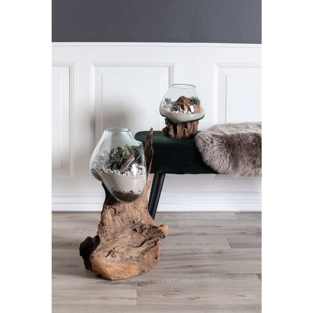 Terrarium goutte San Marino – Teck & verre naturel