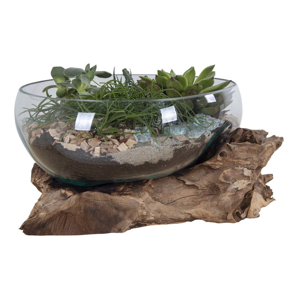 Terrarium goutte San Marino – Grand format, teck & verre naturel