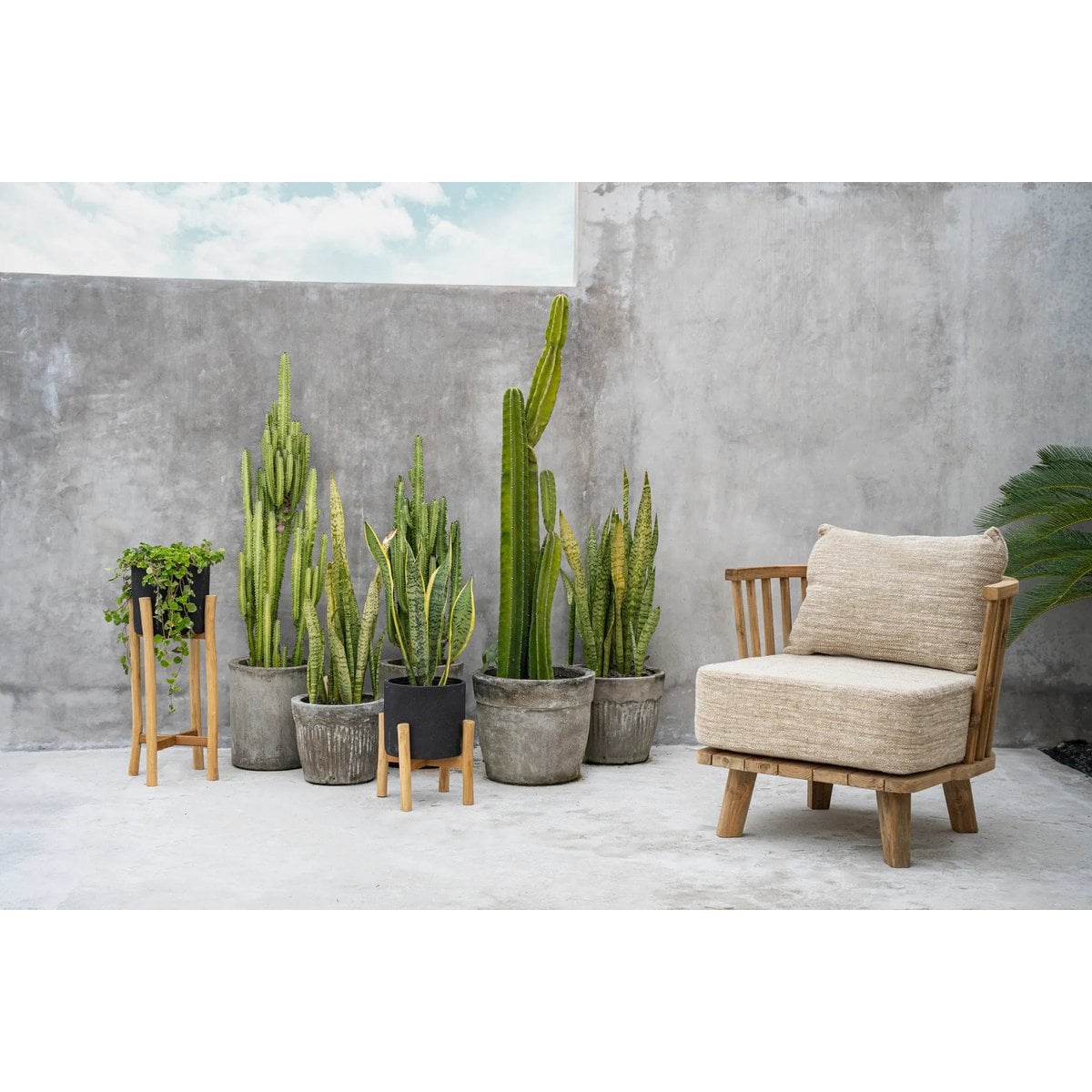 Le Charcoal Low - Noir Naturel - S