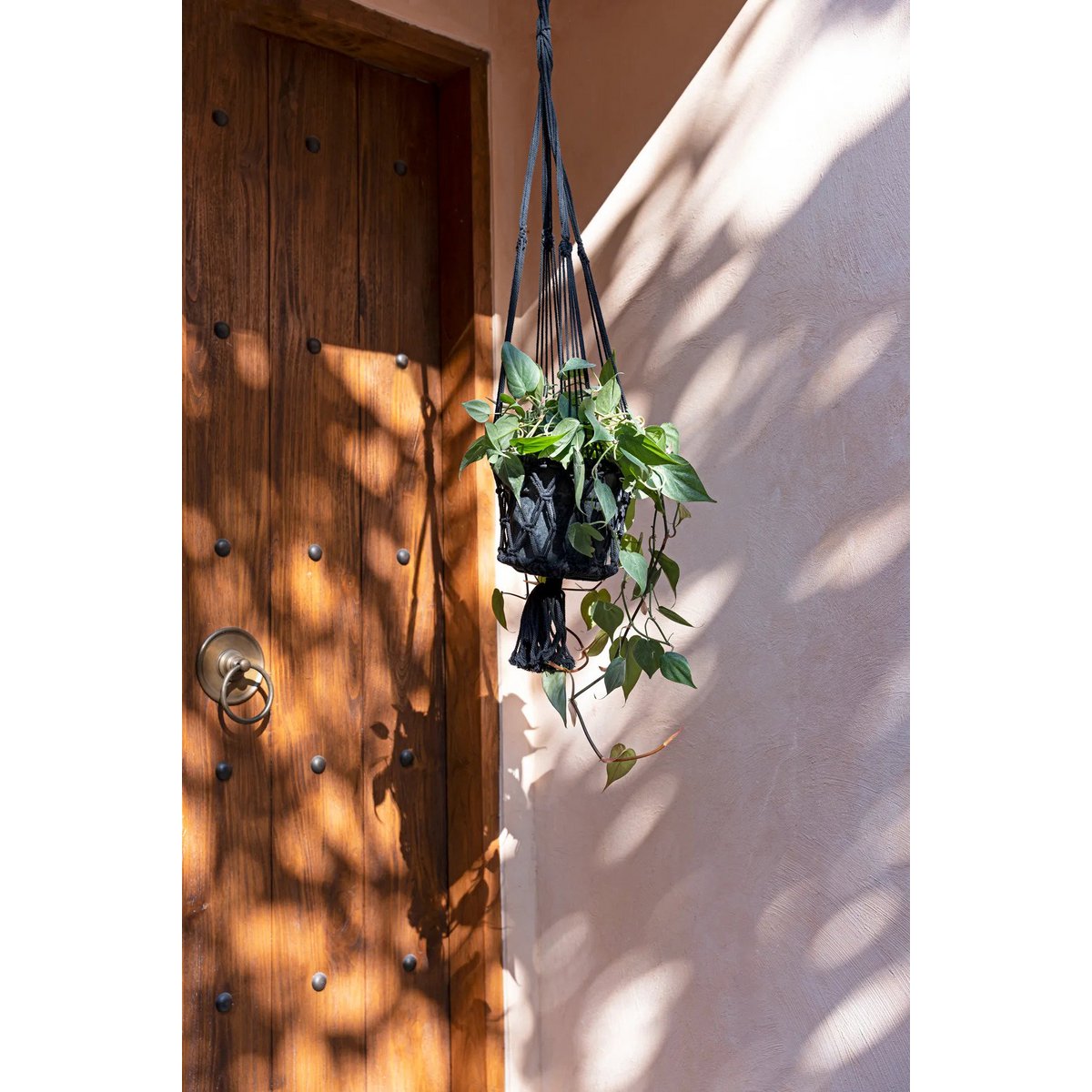 Support pour plantes en macramé coton – Noir – L | Bazar Bizar
