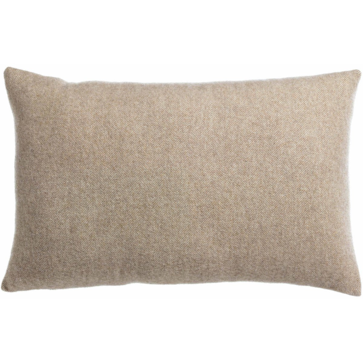 Carina - Nuage - Coussin 40 x 65 cm