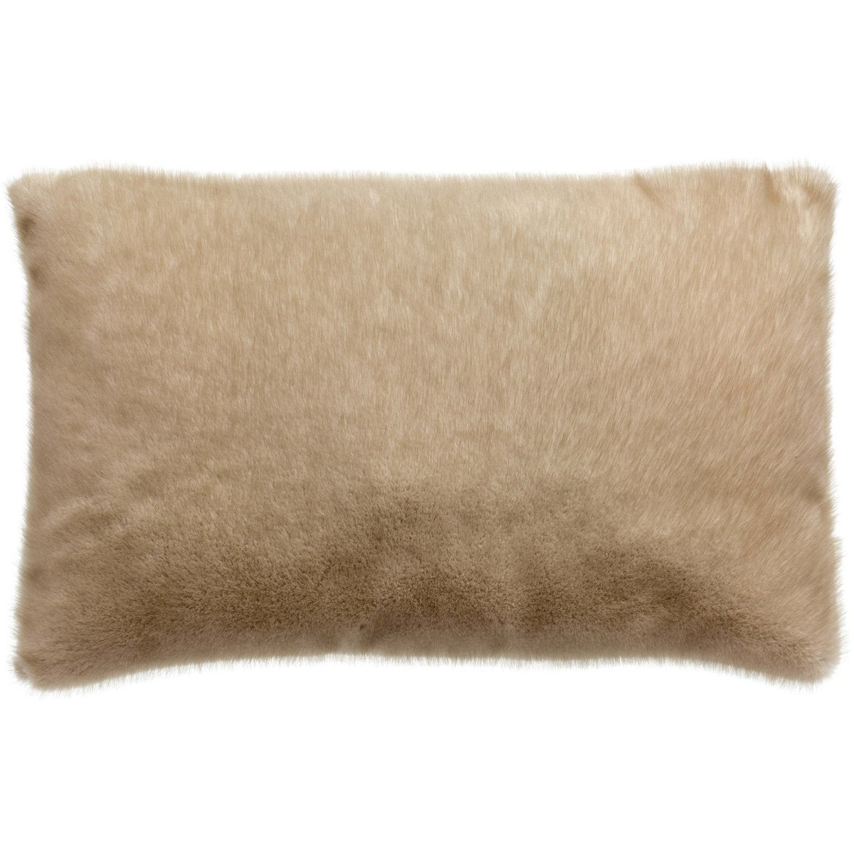 Coussin Lions Nature 40 x 65