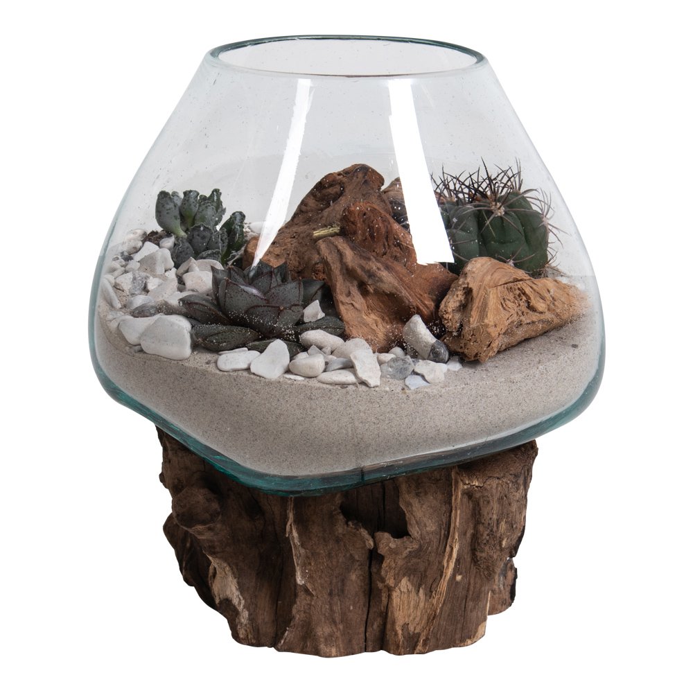 Terrarium goutte San Marino – Teck & verre naturel