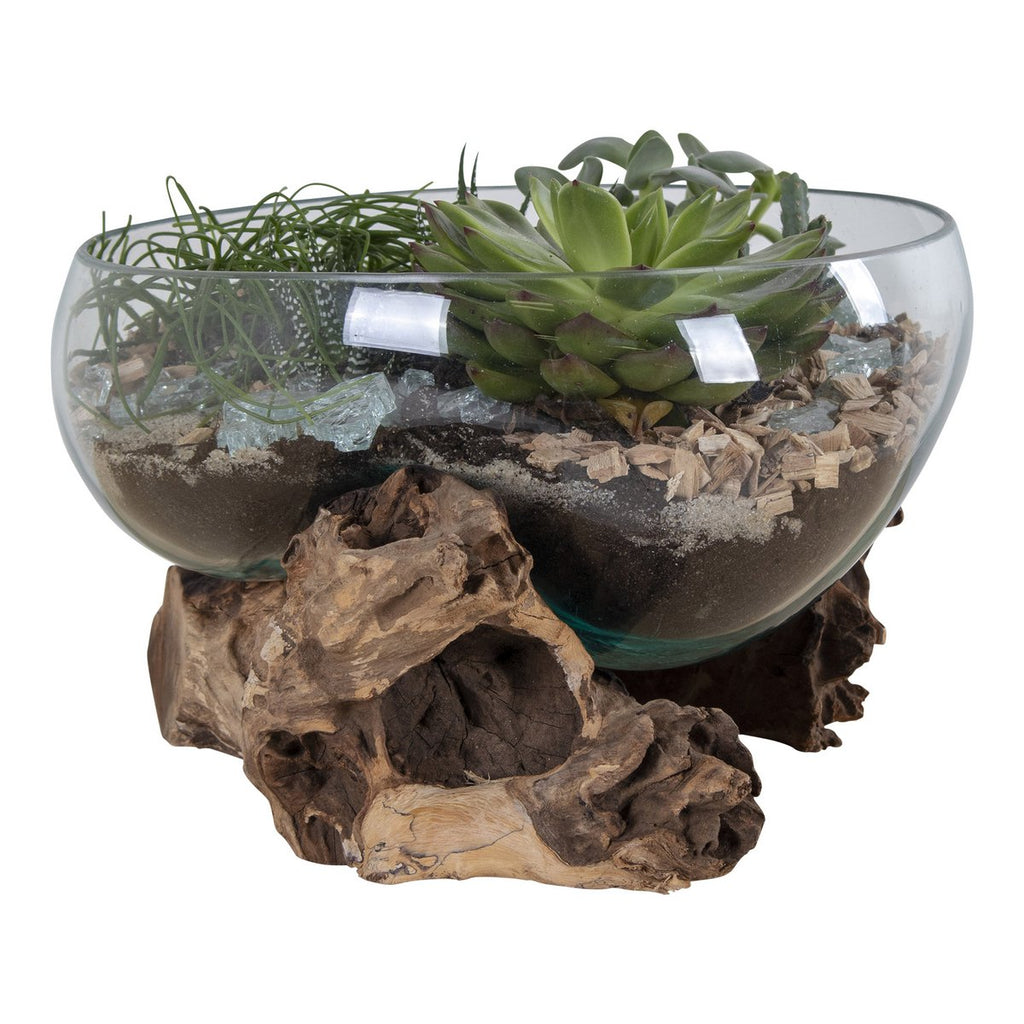 Terrarium goutte San Marino – Grand format, teck & verre naturel