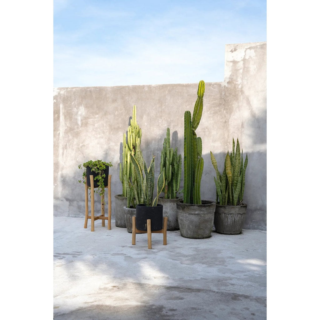 Le Charcoal Low - Noir Naturel - S