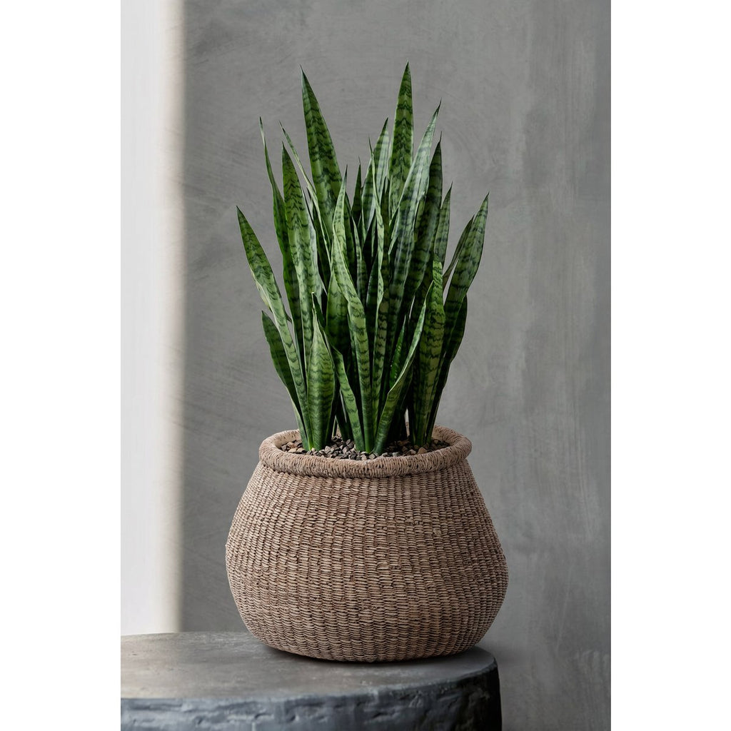 Jardinière Faux-Puff - Marron - L