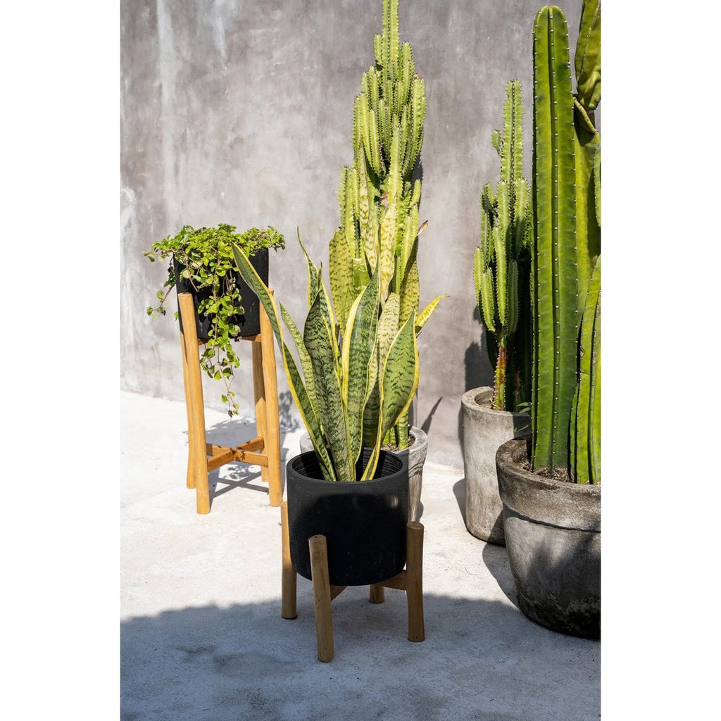 Le Charcoal Low - Noir Naturel - S