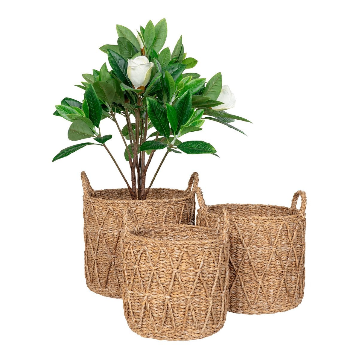 Paniers Krabi en Jonc de Mer Naturel - Lot de 3 (S, M, L)