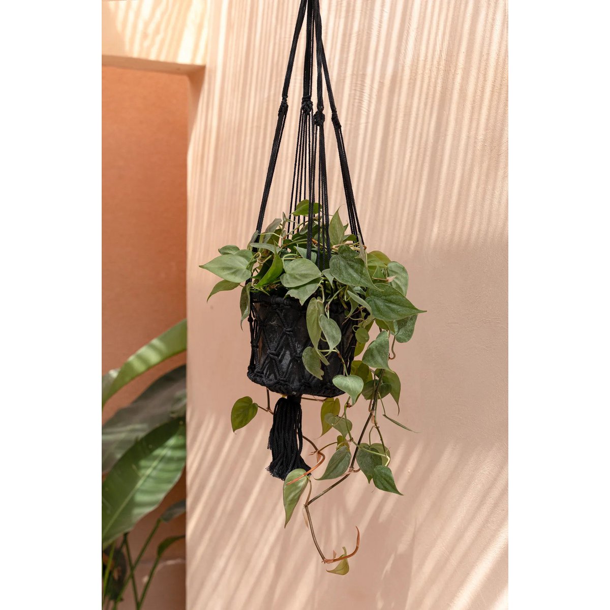 Suspension pour plantes en macramé coton – Noir – M | Bazar Bizar