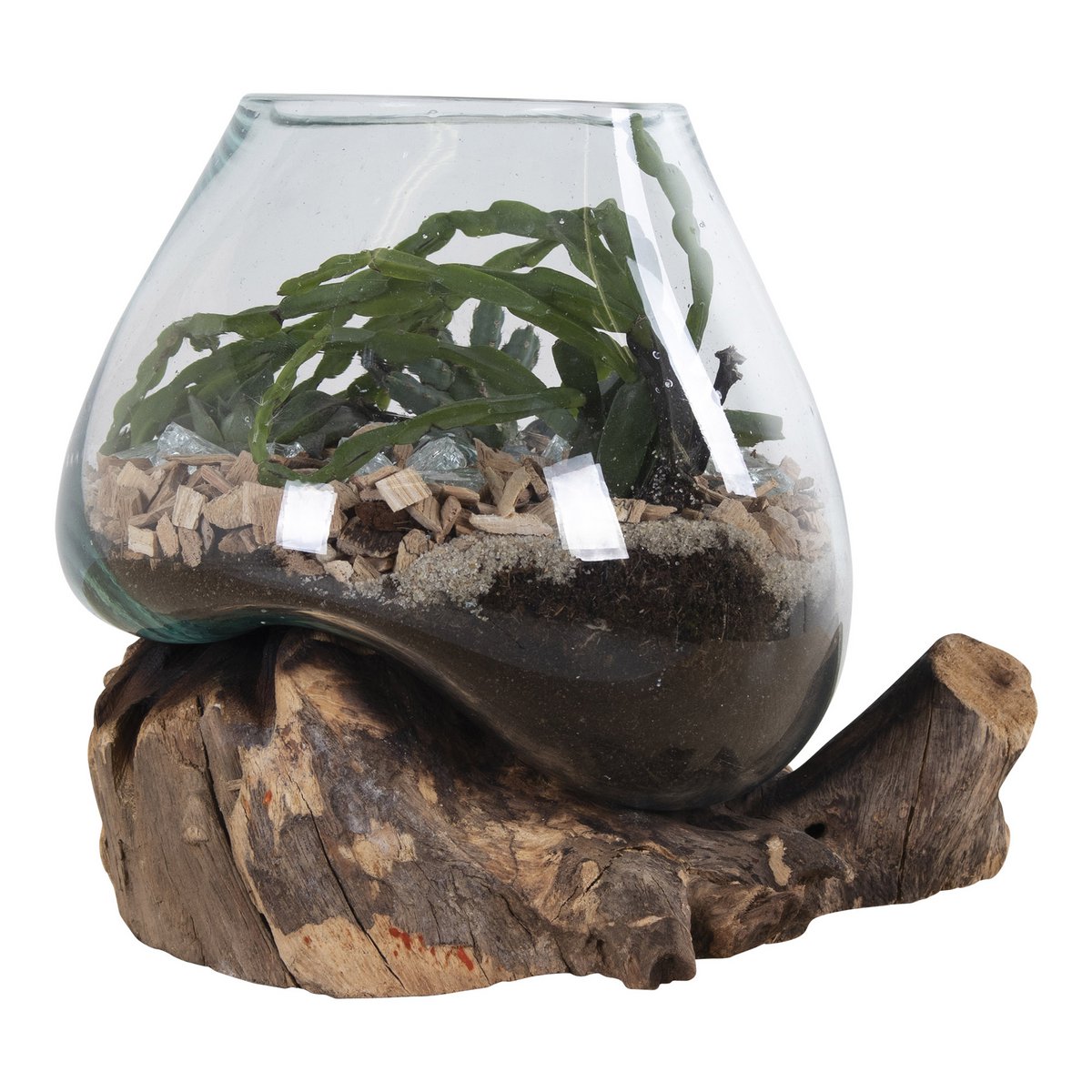 Terrarium goutte San Marino – Teck & verre naturel