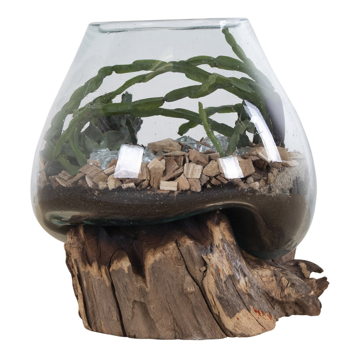 Terrarium goutte San Marino – Teck & verre naturel
