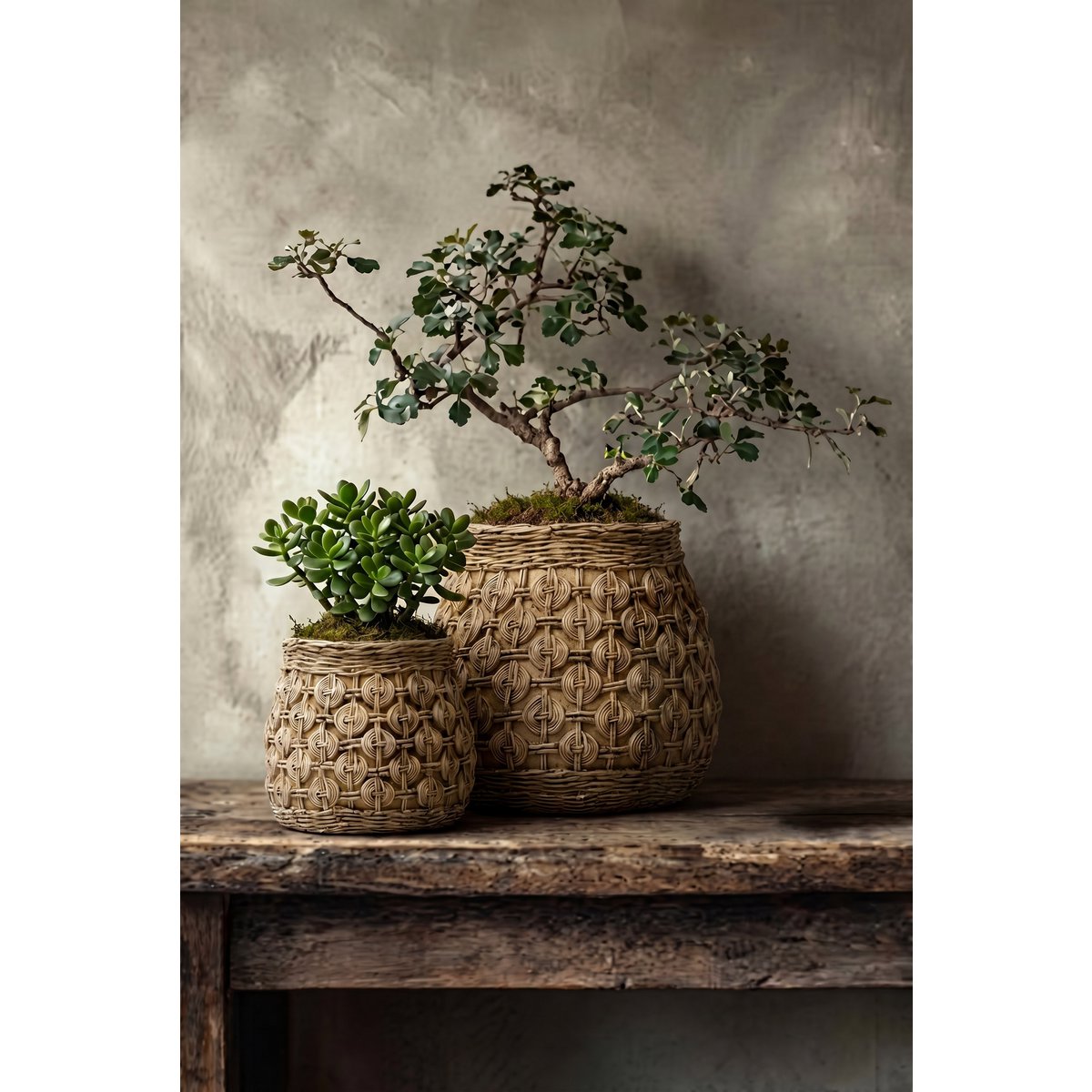 Jardinière en béton The Knot 23 cm