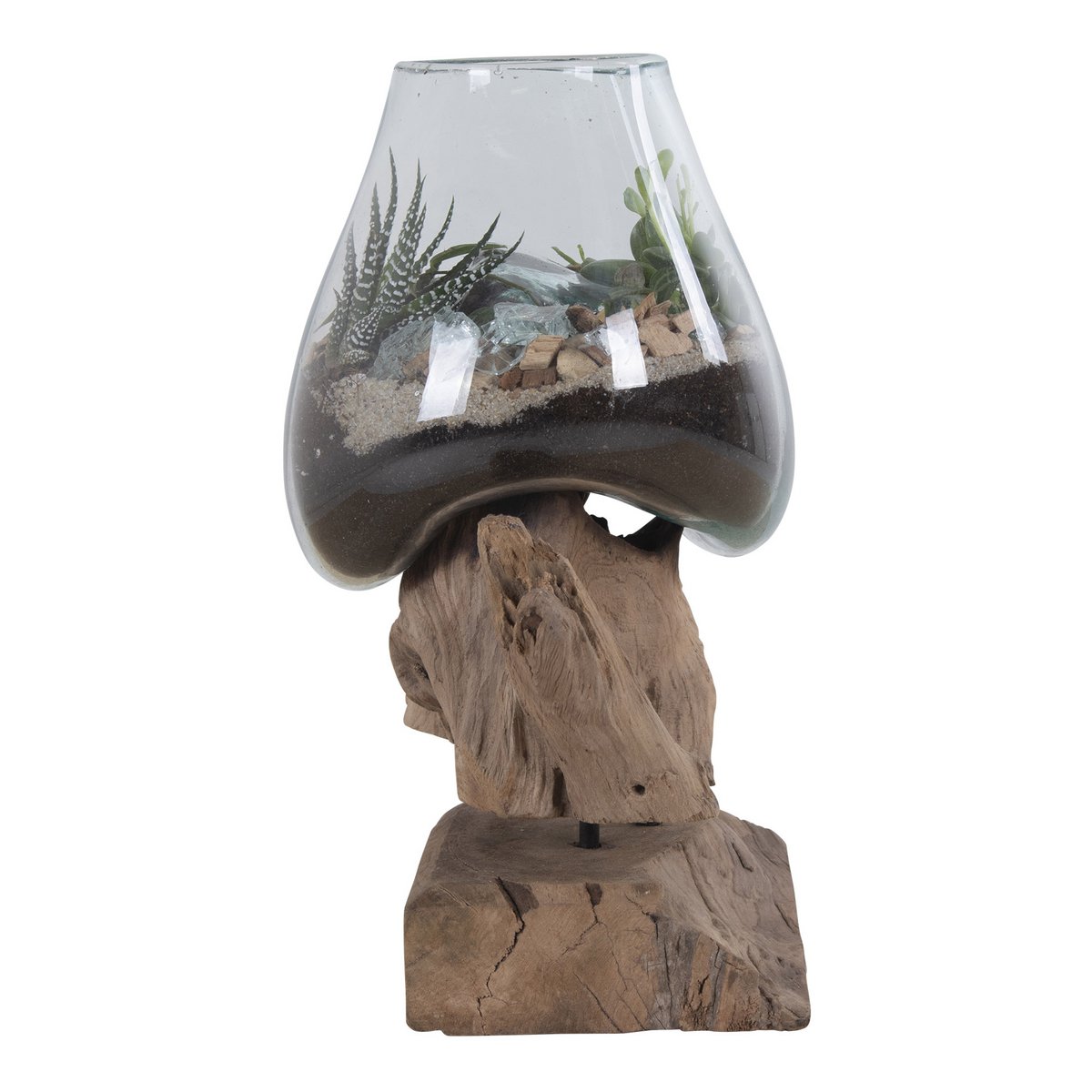 Terrarium goutte San Marino – Teck & verre naturel H25 cm